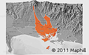 Political 3D Map of David, desaturated