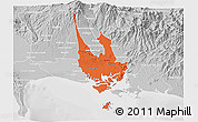 Political 3D Map of David, lighten, desaturated