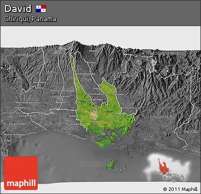 Satellite 3D Map of David, desaturated