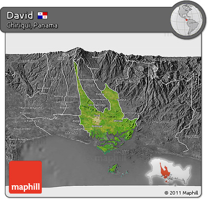 Satellite 3D Map of David, desaturated