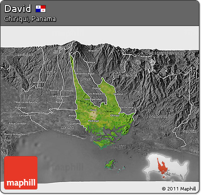 Satellite 3D Map of David, desaturated