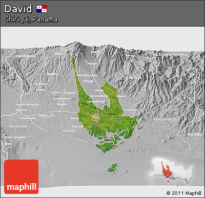 Satellite 3D Map of David, lighten, desaturated