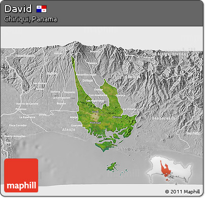 Satellite 3D Map of David, lighten, desaturated