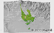 Satellite 3D Map of David, lighten, desaturated
