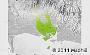 Physical Map of David, lighten, desaturated