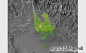 Satellite Map of David, desaturated