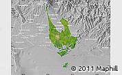 Satellite Map of David, lighten, desaturated