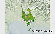 Satellite Map of David, lighten
