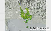 Satellite Map of David, lighten, semi-desaturated