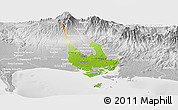 Physical Panoramic Map of David, lighten, desaturated