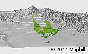 Satellite Panoramic Map of David, lighten, desaturated