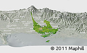 Satellite Panoramic Map of David, lighten, semi-desaturated