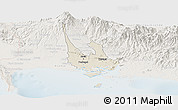 Shaded Relief Panoramic Map of David, lighten