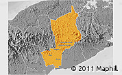 Political 3D Map of Penonome, desaturated