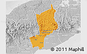 Political 3D Map of Penonome, lighten, desaturated