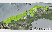 Physical 3D Map of Colon, darken, semi-desaturated