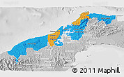 Political 3D Map of Colon, lighten, desaturated