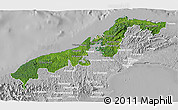 Satellite 3D Map of Colon, lighten, desaturated