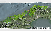 Satellite 3D Map of Colon, semi-desaturated