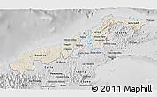 Shaded Relief 3D Map of Colon, desaturated