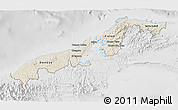 Shaded Relief 3D Map of Colon, lighten, desaturated