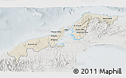 Shaded Relief 3D Map of Colon, lighten, semi-desaturated