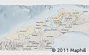 Shaded Relief 3D Map of Colon, semi-desaturated