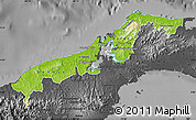 Physical Map of Colon, darken, desaturated