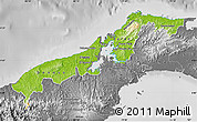Physical Map of Colon, desaturated