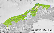 Physical Map of Colon, lighten, desaturated
