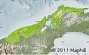 Physical Map of Colon, semi-desaturated