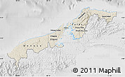 Shaded Relief Map of Colon, lighten, desaturated