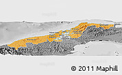 Political Shades Panoramic Map of Colon, desaturated