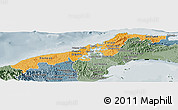 Political Shades Panoramic Map of Colon, semi-desaturated