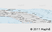 Silver Style Panoramic Map of Comarca de San Blas