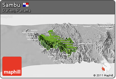 Satellite Panoramic Map of Sambu, lighten, desaturated