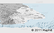 Gray Panoramic Map of Los Santos