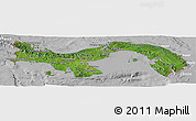 Satellite Panoramic Map of Panama, lighten, desaturated