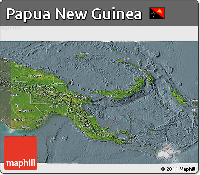 Satellite 3D Map of Papua New Guinea, semi-desaturated