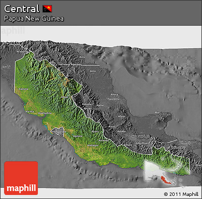 Satellite 3D Map of Central, desaturated