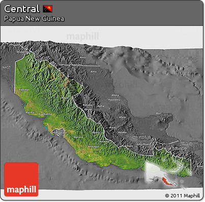 Satellite 3D Map of Central, desaturated