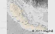 Shaded Relief Map of Central, desaturated