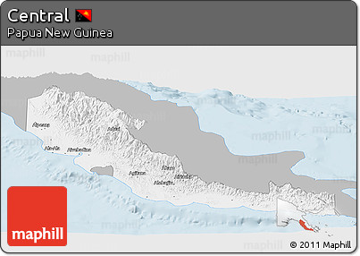 Gray Panoramic Map of Central, single color outside
