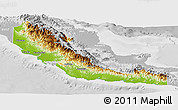 Physical Panoramic Map of Central, lighten, desaturated