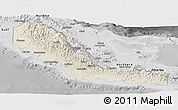 Shaded Relief Panoramic Map of Central, desaturated