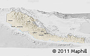 Shaded Relief Panoramic Map of Central, lighten, desaturated