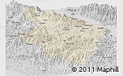 Shaded Relief Panoramic Map of Eastern Highlands, desaturated