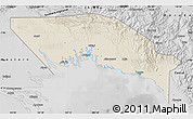 Shaded Relief Map of Gulf, desaturated