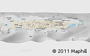 Shaded Relief Panoramic Map of Manus, desaturated