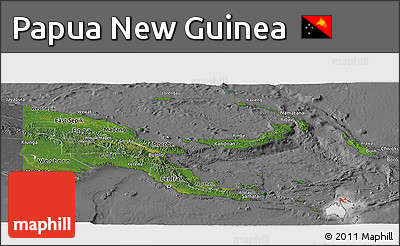 Satellite Panoramic Map of Papua New Guinea, desaturated